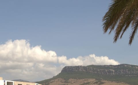 Full-Day Tour from Seville to Baelo Claudia and Tarifa Beach