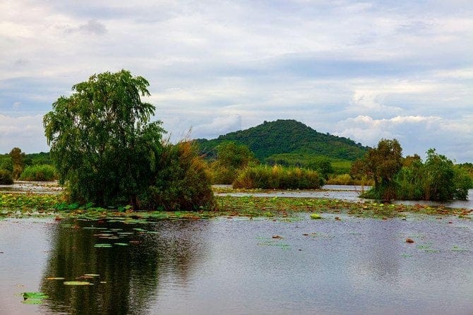 Aswan: The Iconic Botanical Garden & Felucca Ride on the Nile  Private Tour