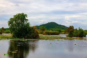Felucca Ride and Botanical Garden Tour in Aswan