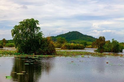 Aswan: The Iconic Botanical Garden & Felucca Ride on the Nile  Private Tour