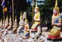 Doi Tung & Royal Villa 10