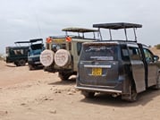 Amboseli day trip tour 2