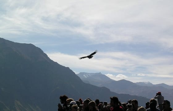 2-Day Colca Canyon Classic Tour