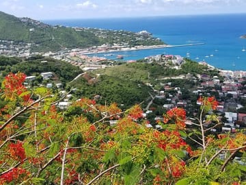 Charlotte Amalie Shopping and Sightseeing Tour in St. Thomas