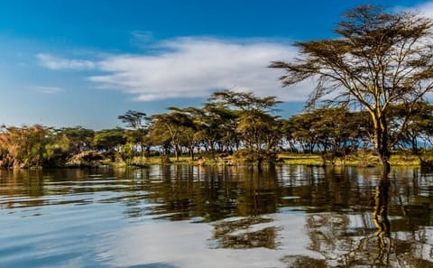 Day tour to lake Naivasha and hell’s gate park no park fees