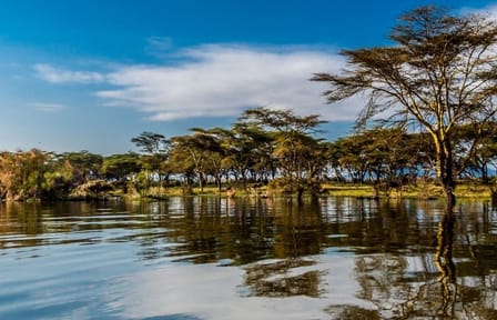 Day tour to lake Naivasha and hell’s gate park no park fees