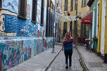 Full-Day Valparaiso and Viña del Mar Tour from Santiago