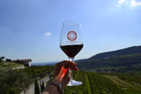 Wine tasting in Valpolicella Classica: the cradle of Amarone 6