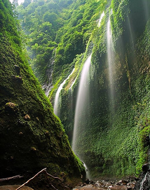 START MALANG/SURABAYA 3D2N MADAKARIPURA-BROMO & IJEN BLUE FLAME TOUR