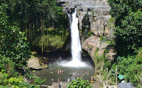 Private Car Tour to Blangsinga Waterfall in Bali