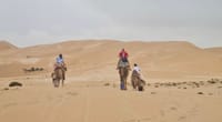 Paradise valley & Sand dunes - daily trip 10