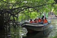 Experience a  Luxury Tour Around Sri Lanka In 10 days 8