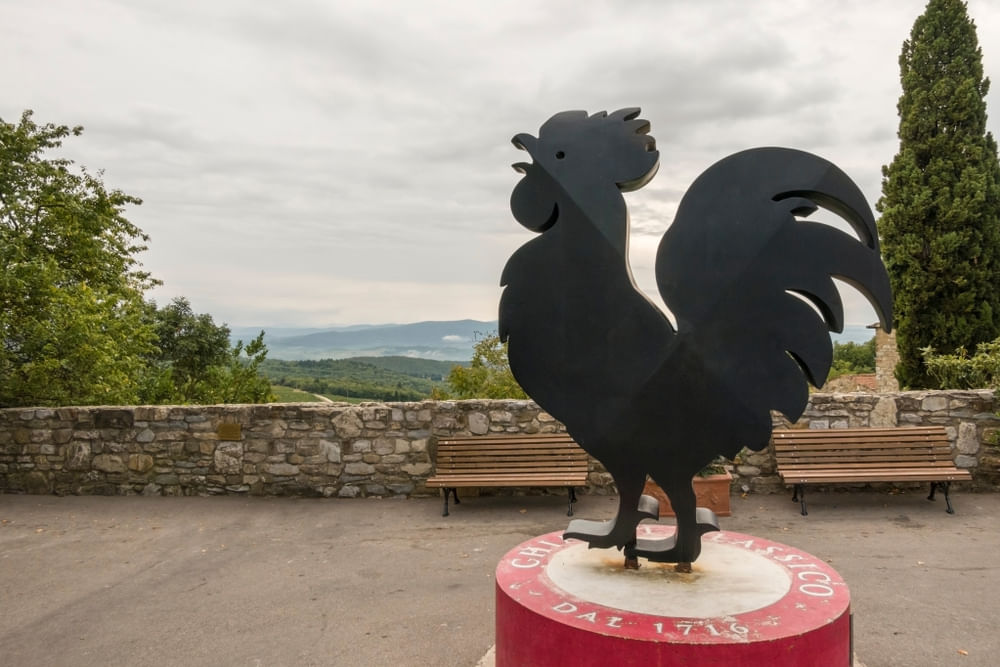 Private Tour in Chianti