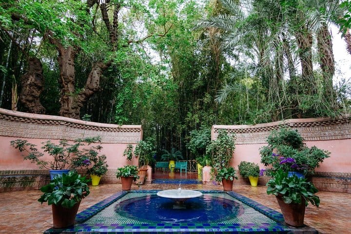 Majical Majorelle Garden and Camel Ride in Palmeraie of Marrakech