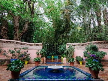 Majorelle Garden Tour and Camel Ride in Marrakech