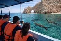 Private Glass Bottom Boat Tour to El Arco and Lover's Beach 4