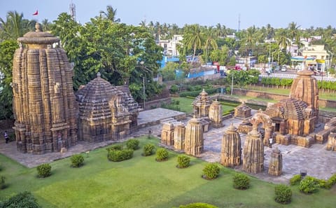 Cultural and Wildlife Tour from Bhubaneswar to Nagpur