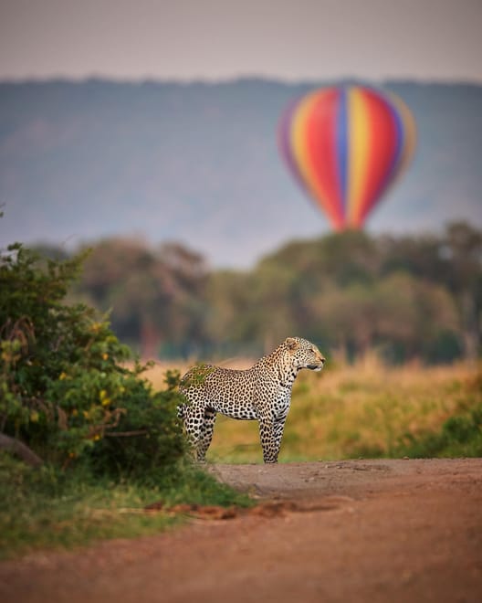 2-Day Mara Fly In Safari 10