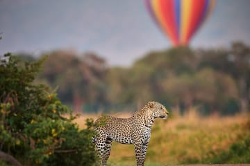 2-Day Fly-In Safari Experience in Maasai Mara, Kenya