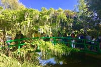 Japanese Bridge