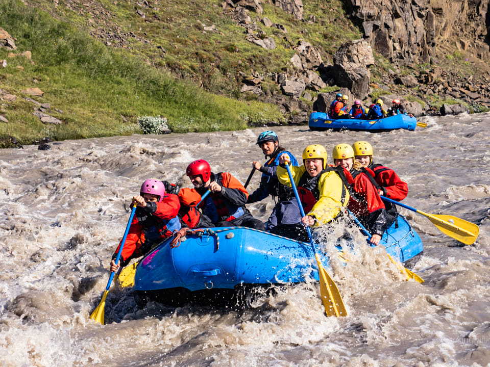 Whale watching and rafting custom — Viking Rafting