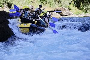 Full-day Tara River White Water Rafting Tour from Kotor