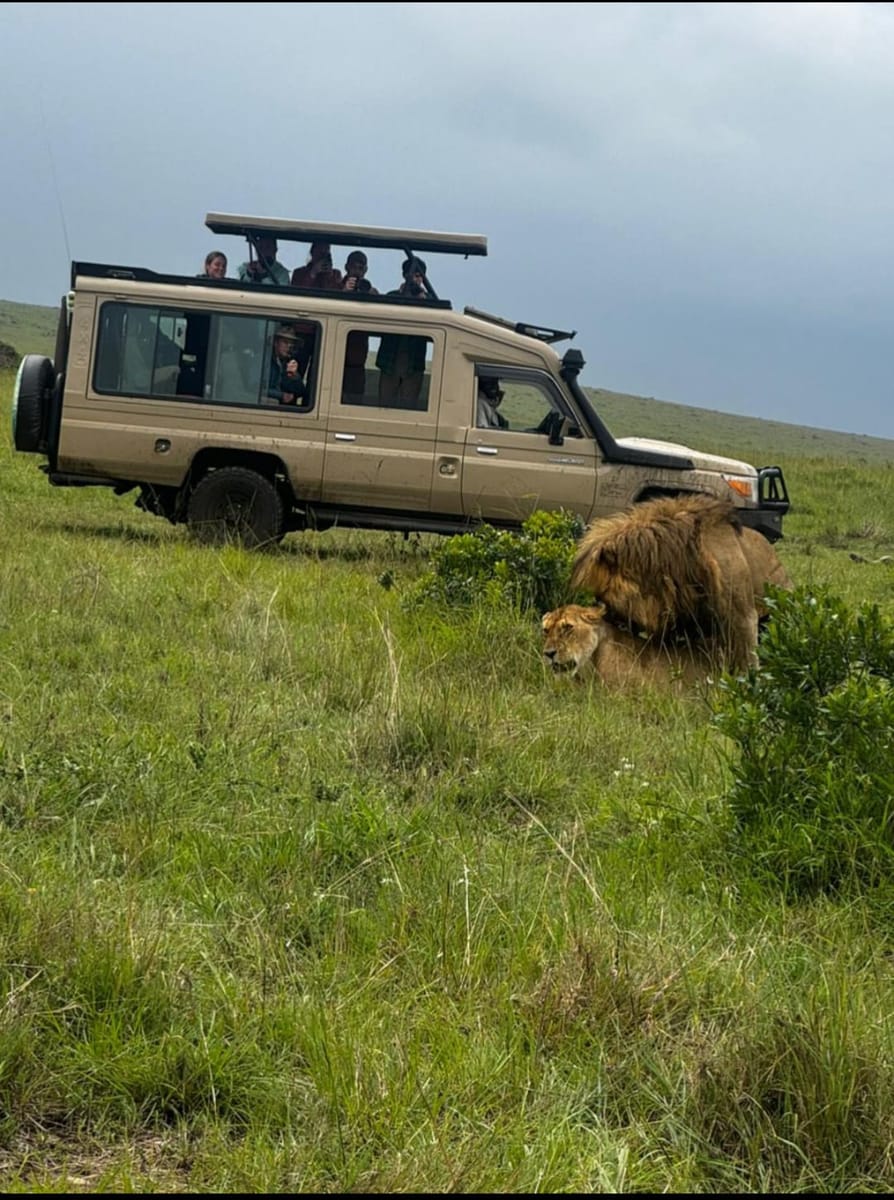 4Days 3Nights Maasai Mara group safari in 4WD From Nairobi