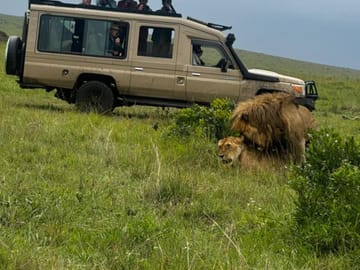 5 Days Maasai Mara,Lake Nakuru And Lake Naivasha