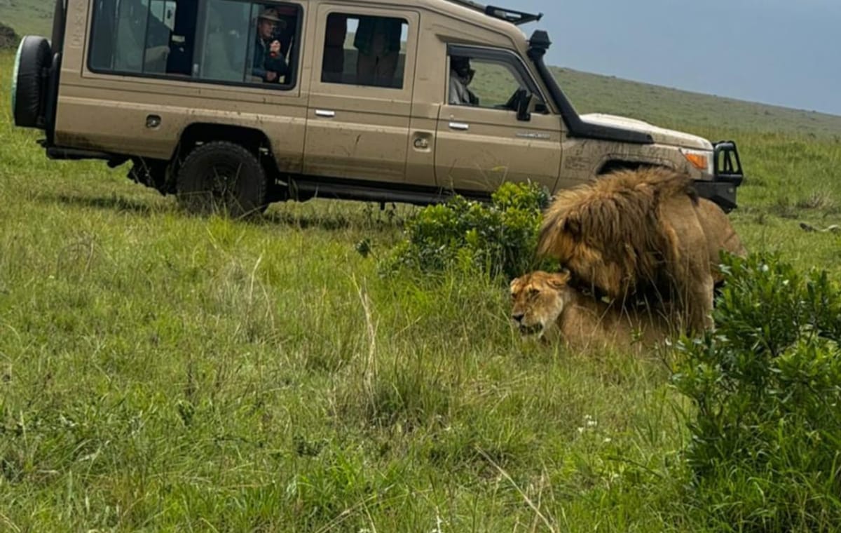 5 Days Maasai Mara,Lake Nakuru And Lake Naivasha