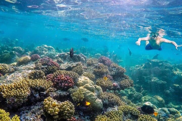 Eden Island Full Day Boat Trip With Lunch from Hurghada