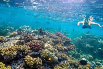 Eden Island Full Day Boat Trip With Lunch from Hurghada