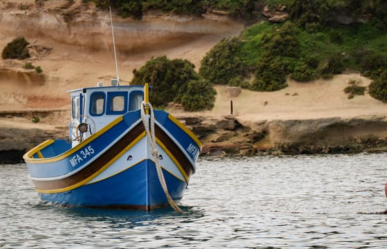 South Coast Nature Walking Tour (Private Tour)