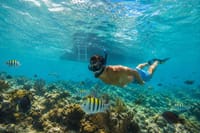 Samana Boat Tour Los Haitises Bacardi Island Full Day 9