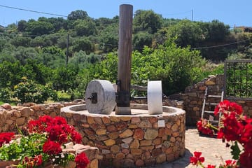 Chania Old Town and Olive Oil Experience Tour