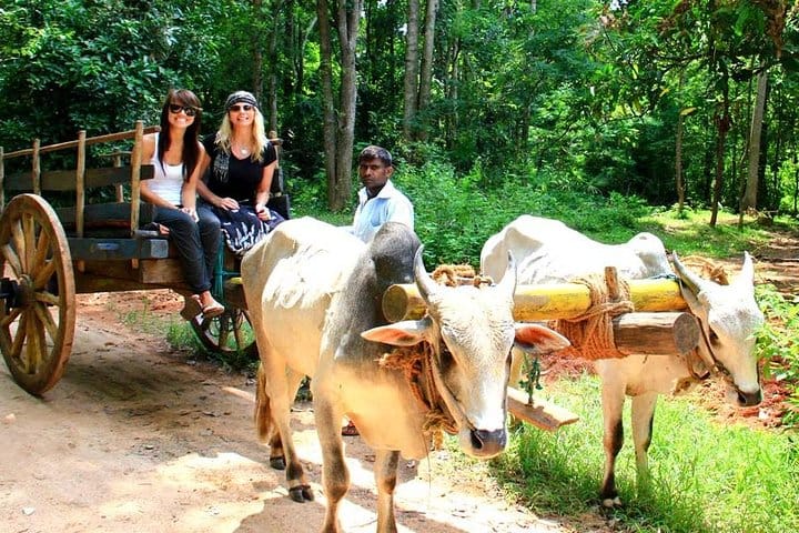 3 Days Ancient Capital Cities