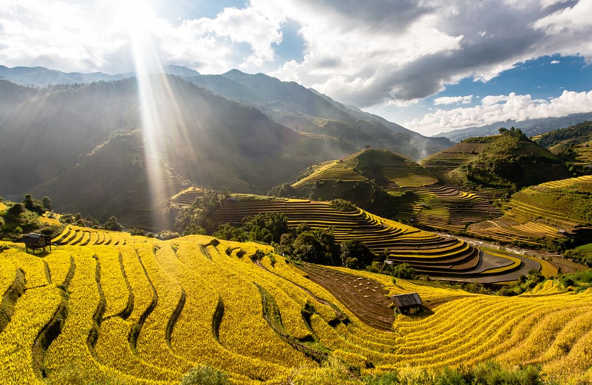 Adventure to Mu Cang Chai Rice Fields: Breathtaking Landscapes Await