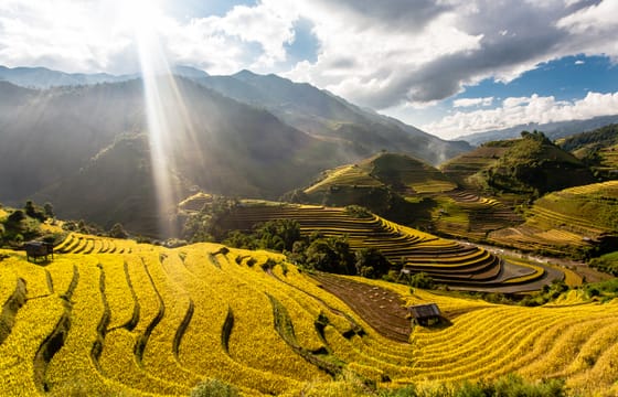 Adventure to Mu Cang Chai Rice Fields 3 days 2 nights