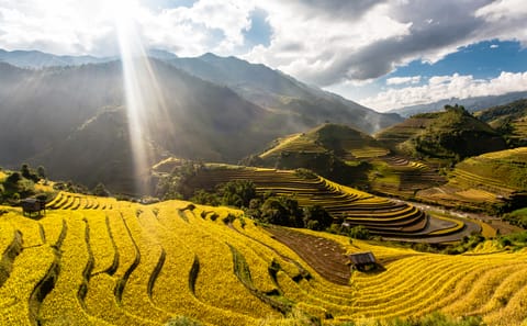 3-Day Adventure Tour to Mu Cang Chai Rice Fields from Hanoi