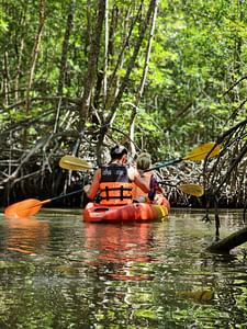Deep Roots: A Jungle-to-Sea Kayaking & Trekking Adventure in Phuket