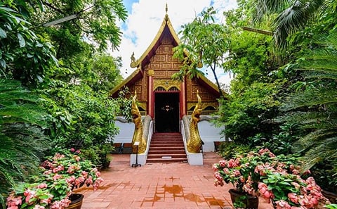 Half day Chiang Rai & White Temple