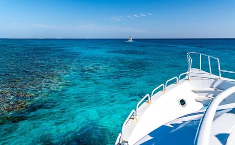 Snorkeling Adventure at Hamata Island from Marsa Alam