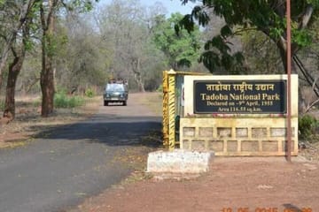 Cultural and Wildlife Tour of Khajuraho and Jabalpur