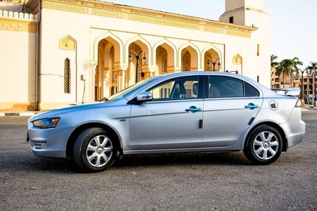 “Pet-Friendly Private Transfer: Luxor Station to Hotel”