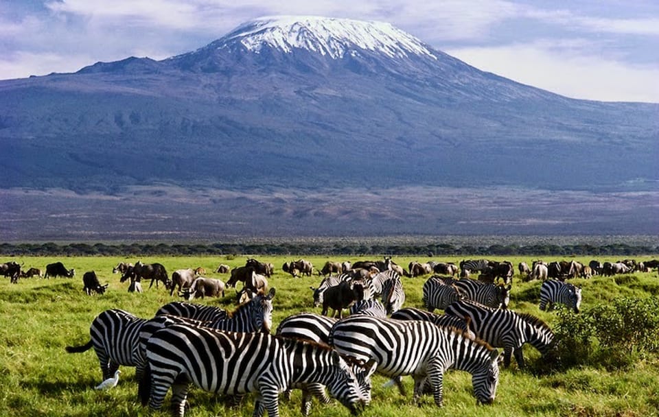 5Days Affordable Wildlife Safari in Kenya