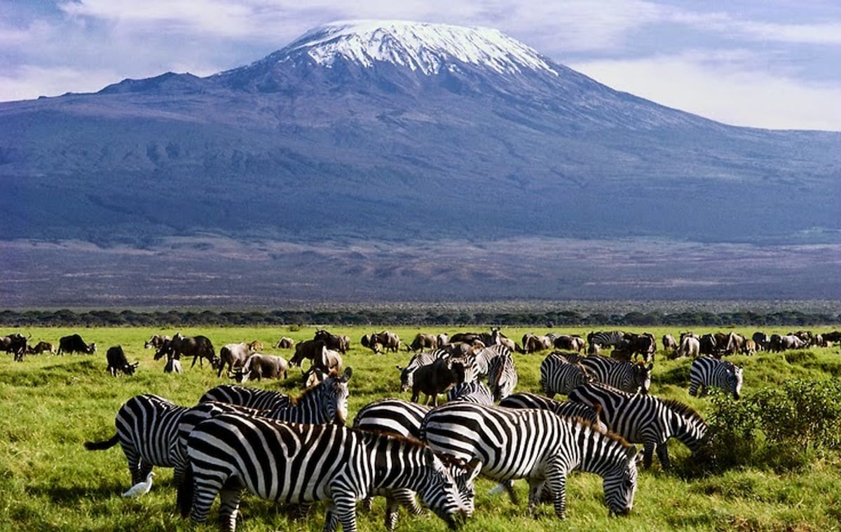 5Days Affordable Wildlife Safari in Kenya