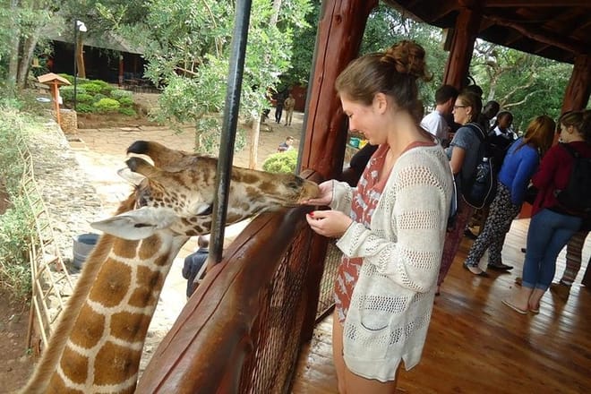 Nairobi National Park, Giraffe Center and Elephant Orphanage Day Tour from Nairobi 9