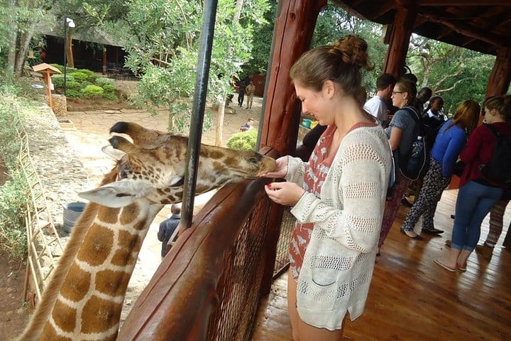 Nairobi National Park, Giraffe Center and Elephant Orphanage Day Tour from Nairobi 9
