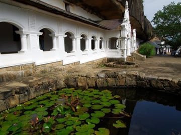 sigiriya-dambulla-n-safari-from-trinco-1