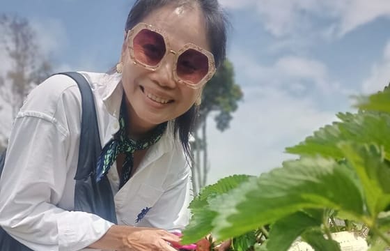 Jakarta Ciwidey White Crater and Patengan Lake from Jakarta