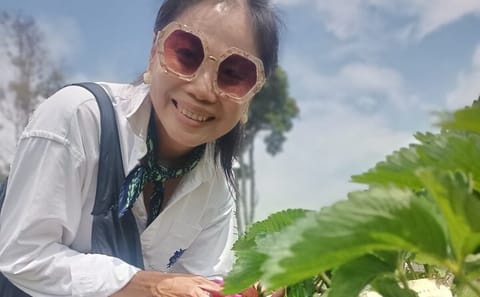 Jakarta to Ciwidey White Crater and Patengan Lake Tour